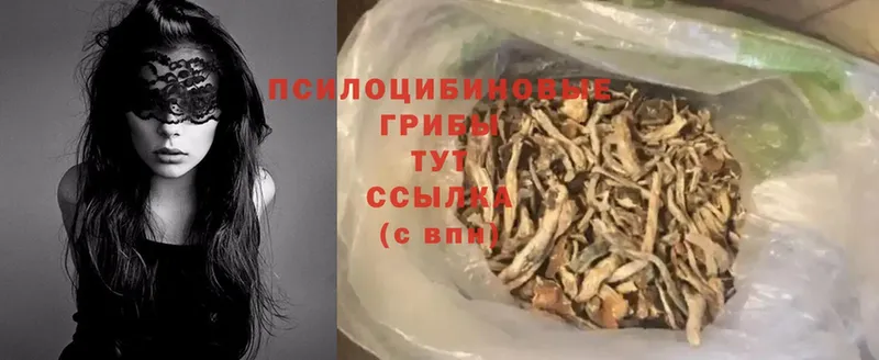 наркота  Гремячинск  Галлюциногенные грибы MAGIC MUSHROOMS 